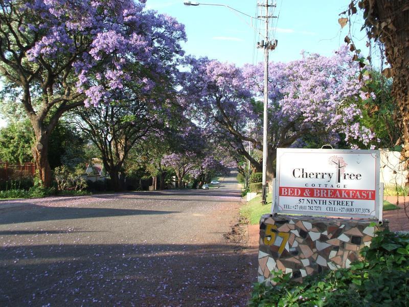 Cherry Tree Cottage B&B Linden Johannesbourg Extérieur photo
