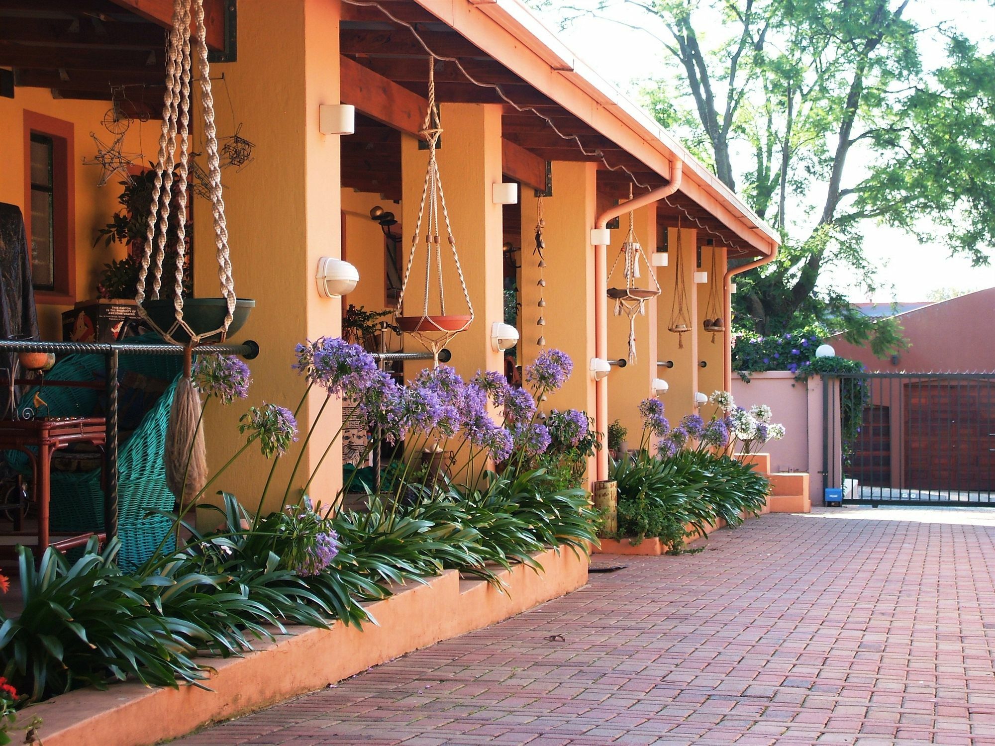 Cherry Tree Cottage B&B Linden Johannesbourg Extérieur photo